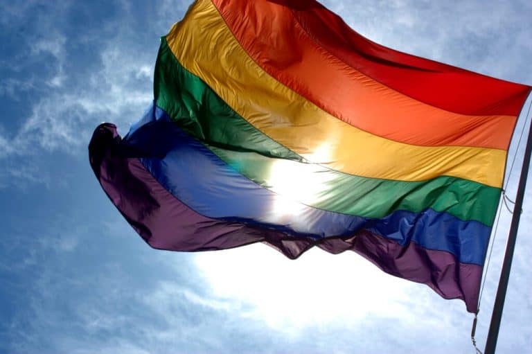 ¿Qué colectivos están representados dentro del LGTBI+?