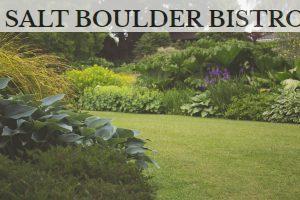 Assorted Plants With Trees Photography